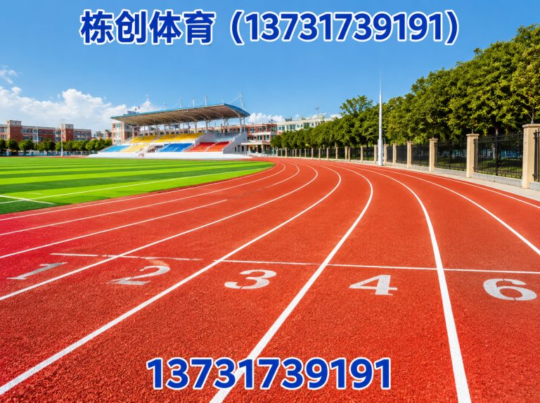 沧州高新技术产业开发区塑胶跑道展示图
